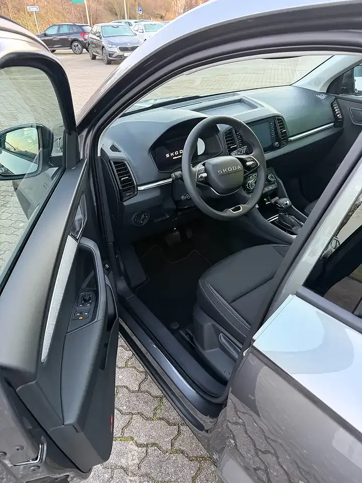 Skoda Karoq - Thumbnail 10