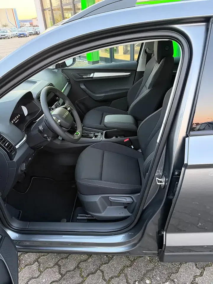 Skoda Karoq - Thumbnail 11