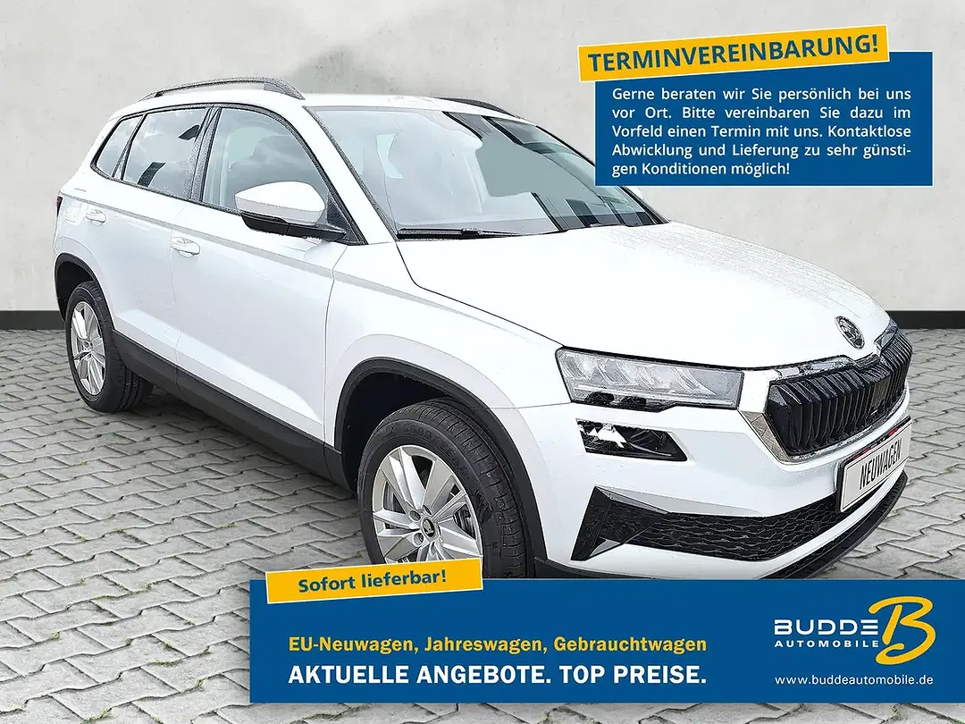 Skoda Karoq - Thumbnail 1