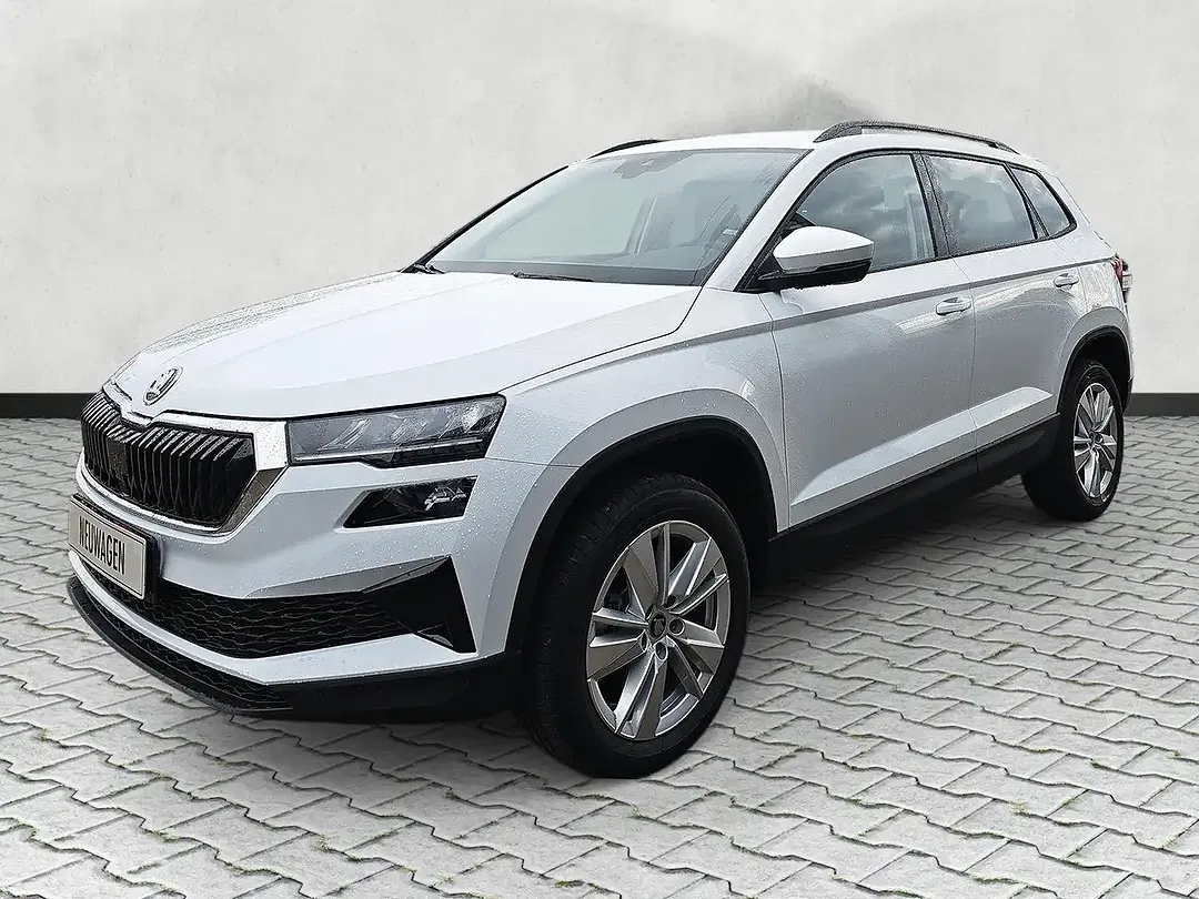 Skoda Karoq - Thumbnail 4