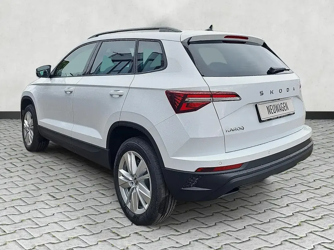 Skoda Karoq - Thumbnail 6