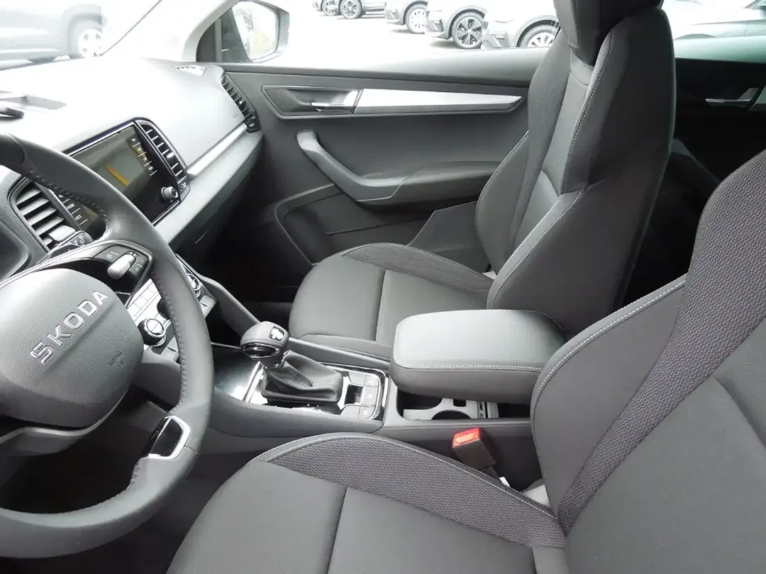 Skoda Karoq - Thumbnail 10