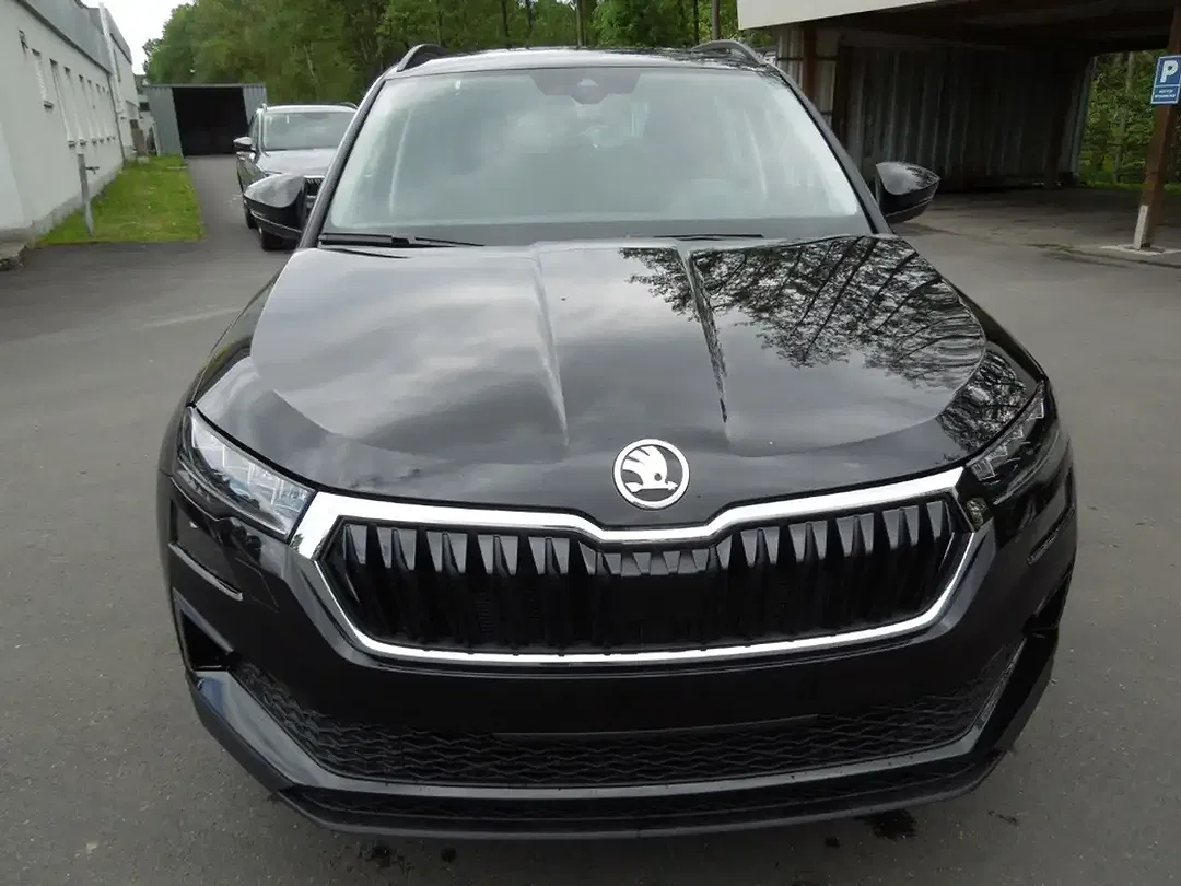 Skoda Karoq - Thumbnail 2
