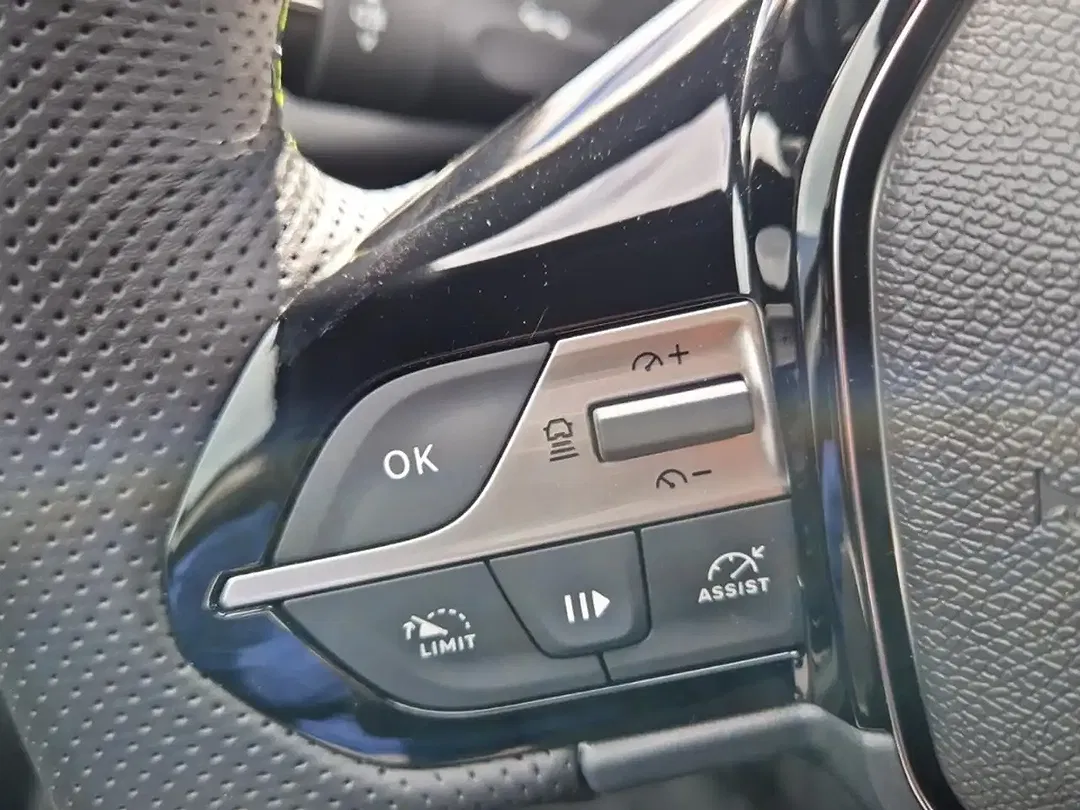 Peugeot 308 - Thumbnail 19