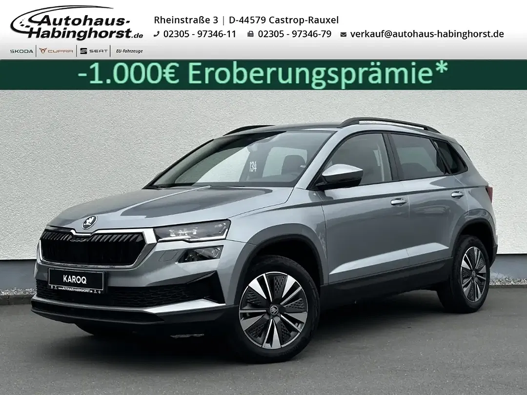 Skoda Karoq - Thumbnail 1