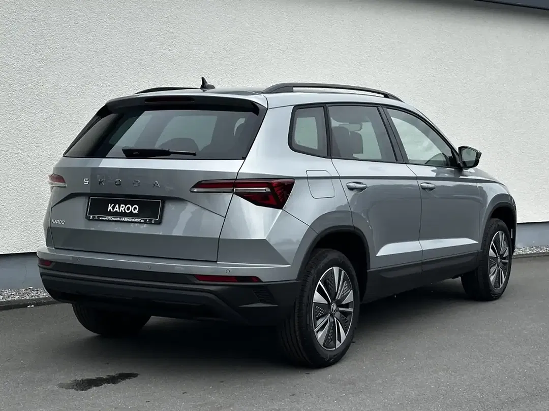 Skoda Karoq - Thumbnail 2