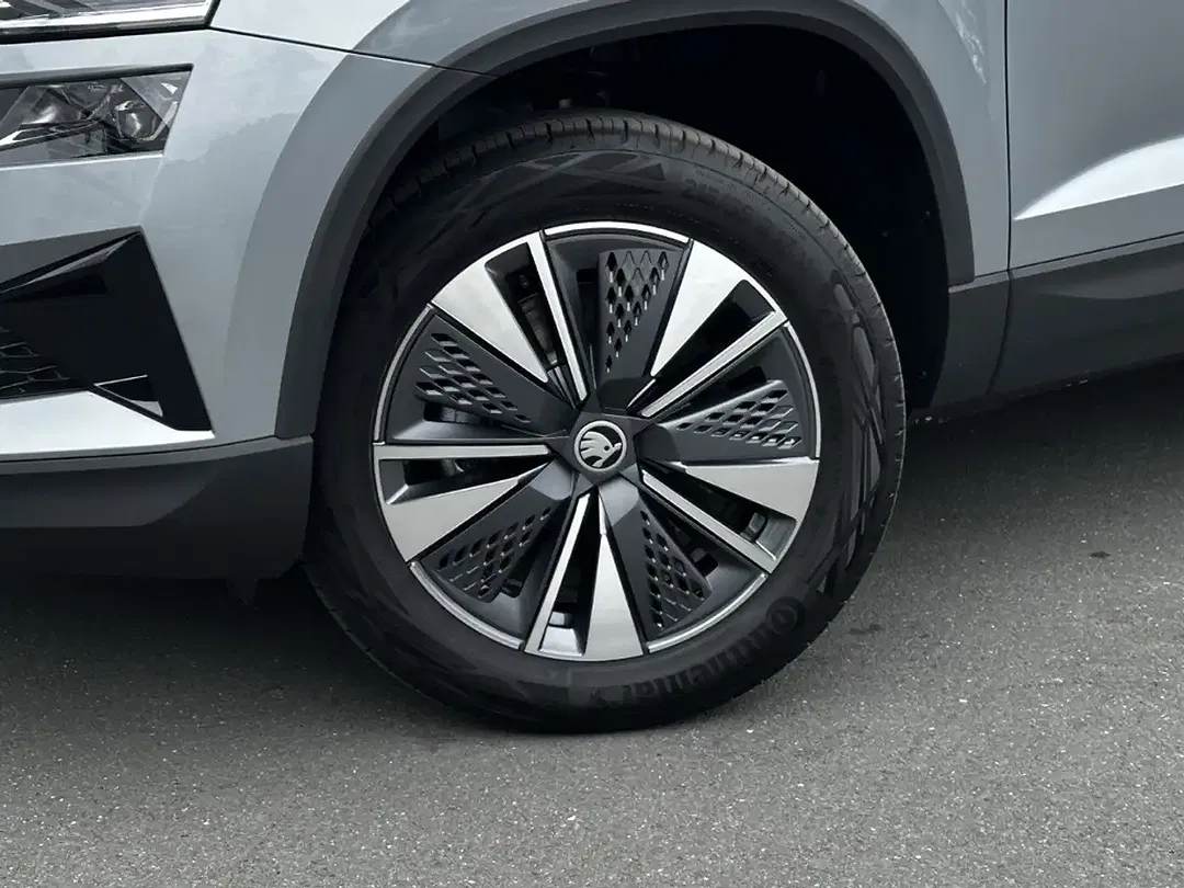 Skoda Karoq - Thumbnail 3
