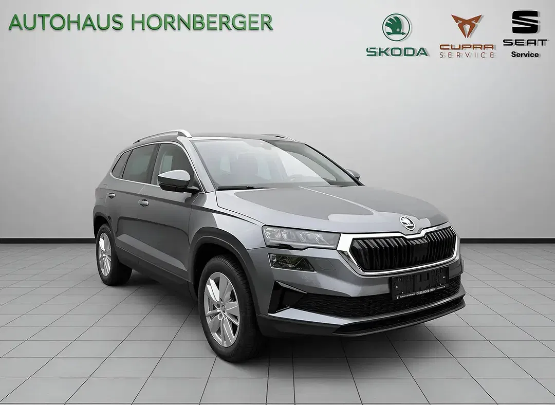 Skoda Karoq - Thumbnail 4