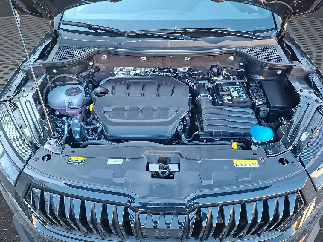 Skoda Karoq - Thumbnail 15