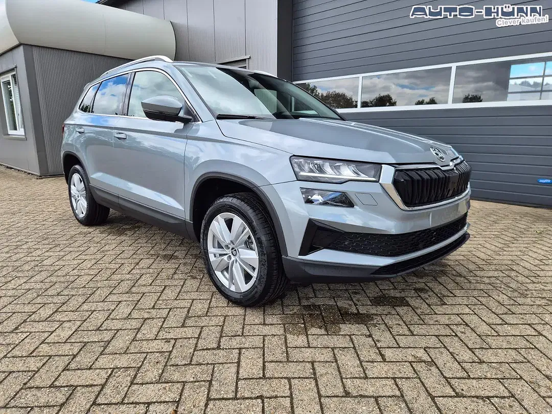 Skoda Karoq - Thumbnail 7