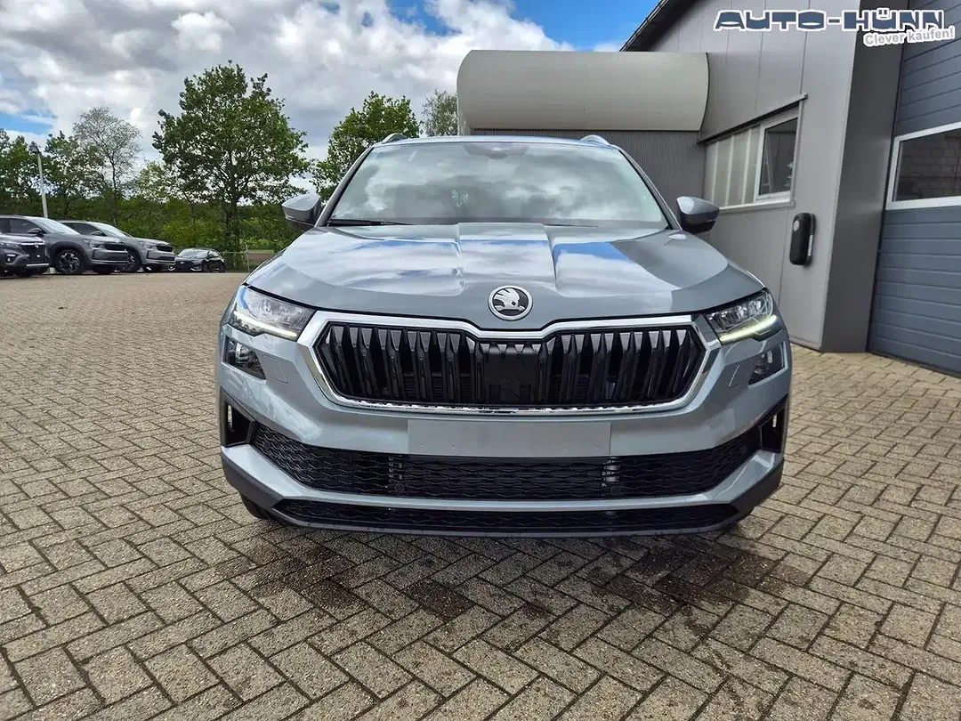 Skoda Karoq - Thumbnail 8