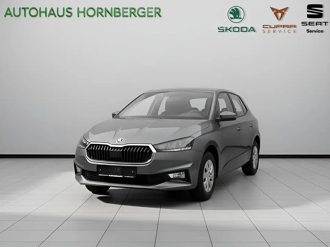 Skoda Fabia - Afbeelding 1