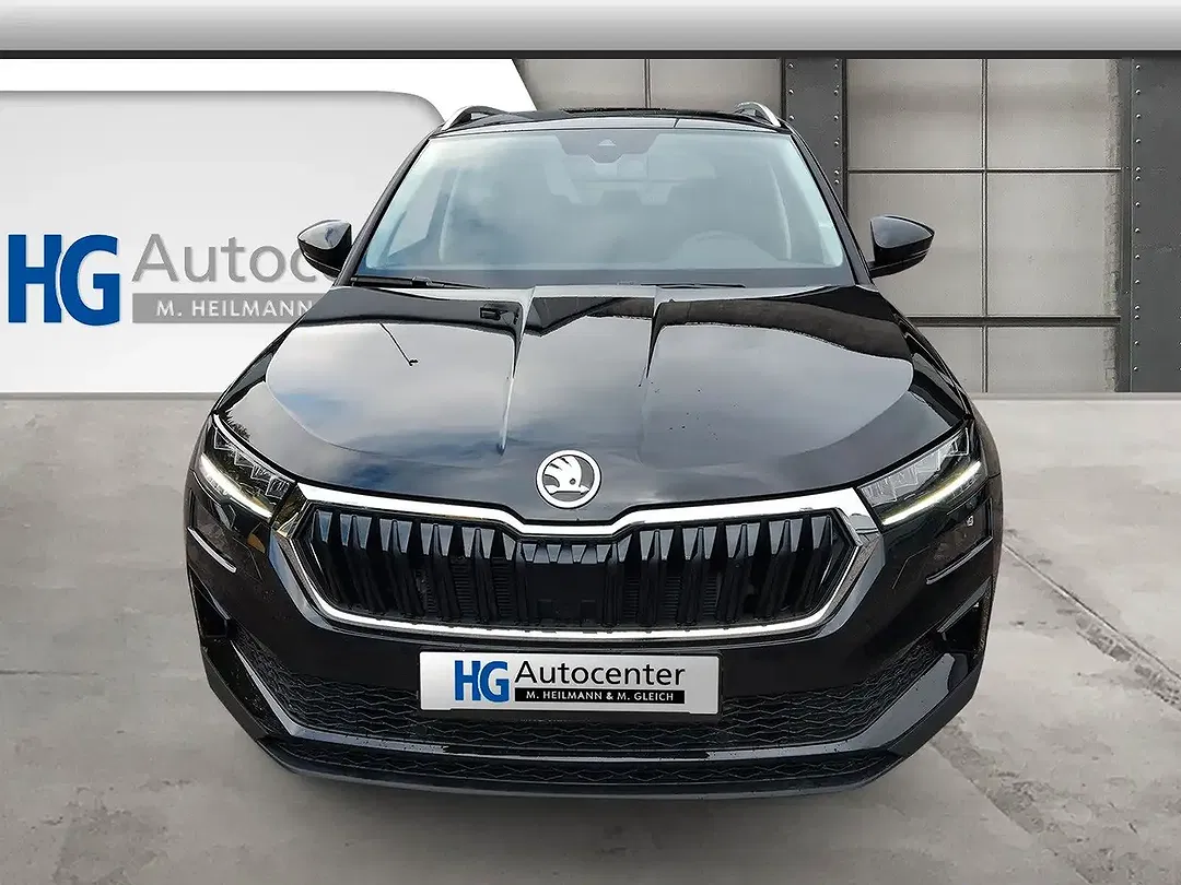 Skoda Karoq - Thumbnail 4