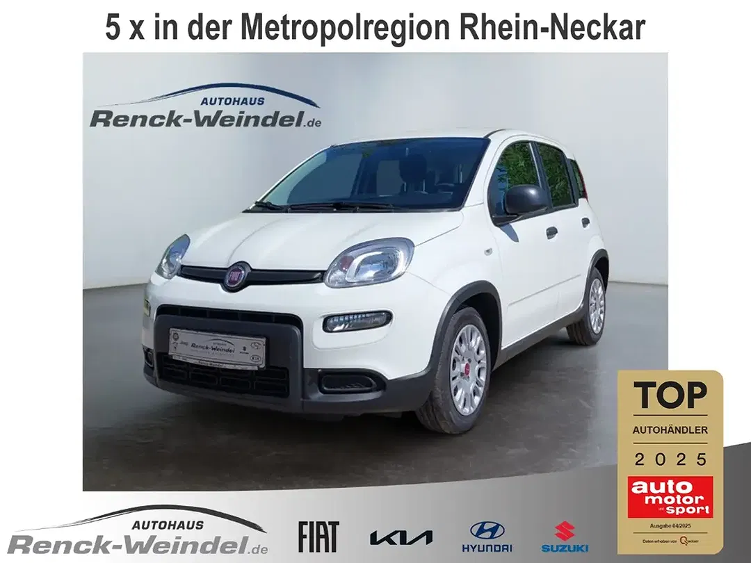 Fiat Panda 1.0 Basis