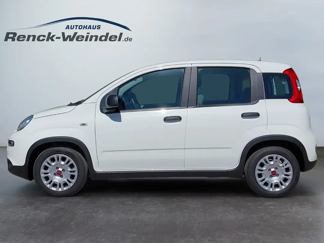 Fiat Panda - Thumbnail 2