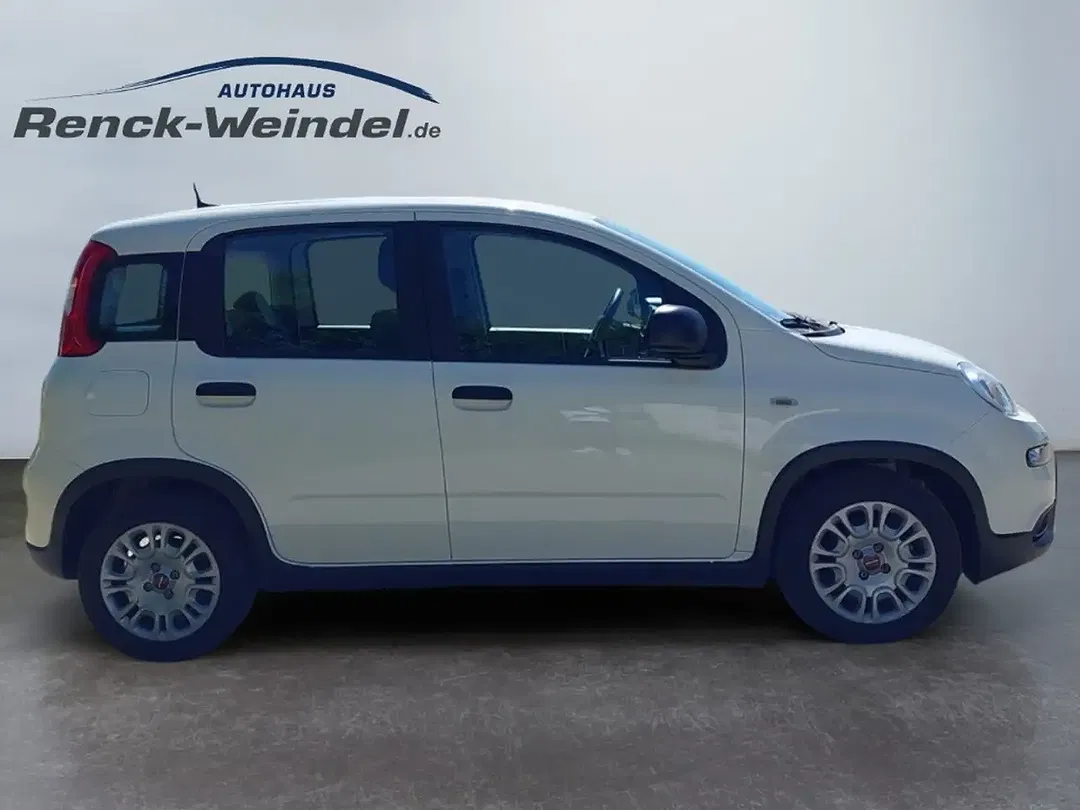 Fiat Panda - Thumbnail 6