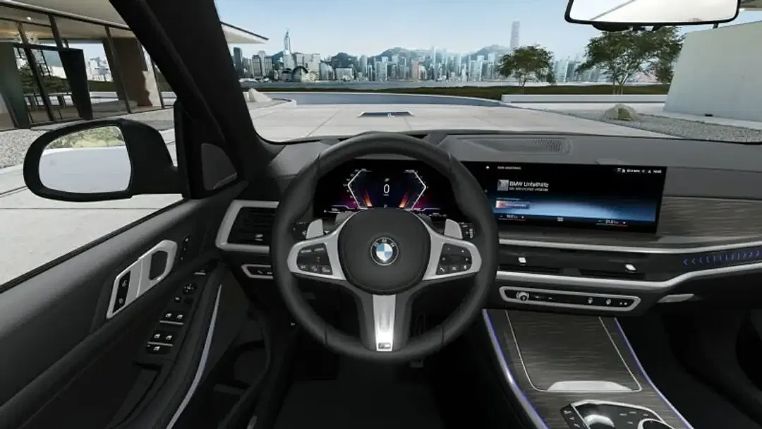 BMW X5 - Thumbnail 13