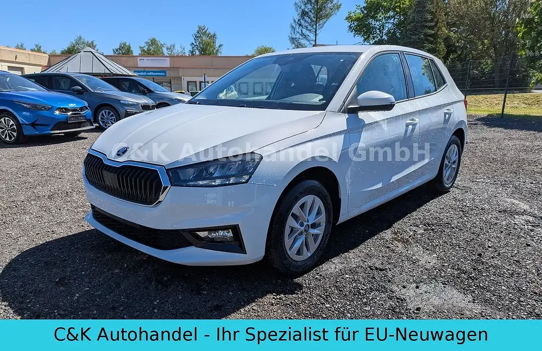 Skoda Fabia - Afbeelding 1