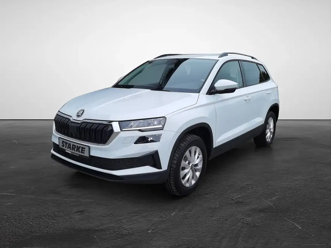 Skoda Karoq - Thumbnail 2