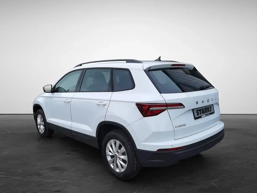 Skoda Karoq - Thumbnail 4