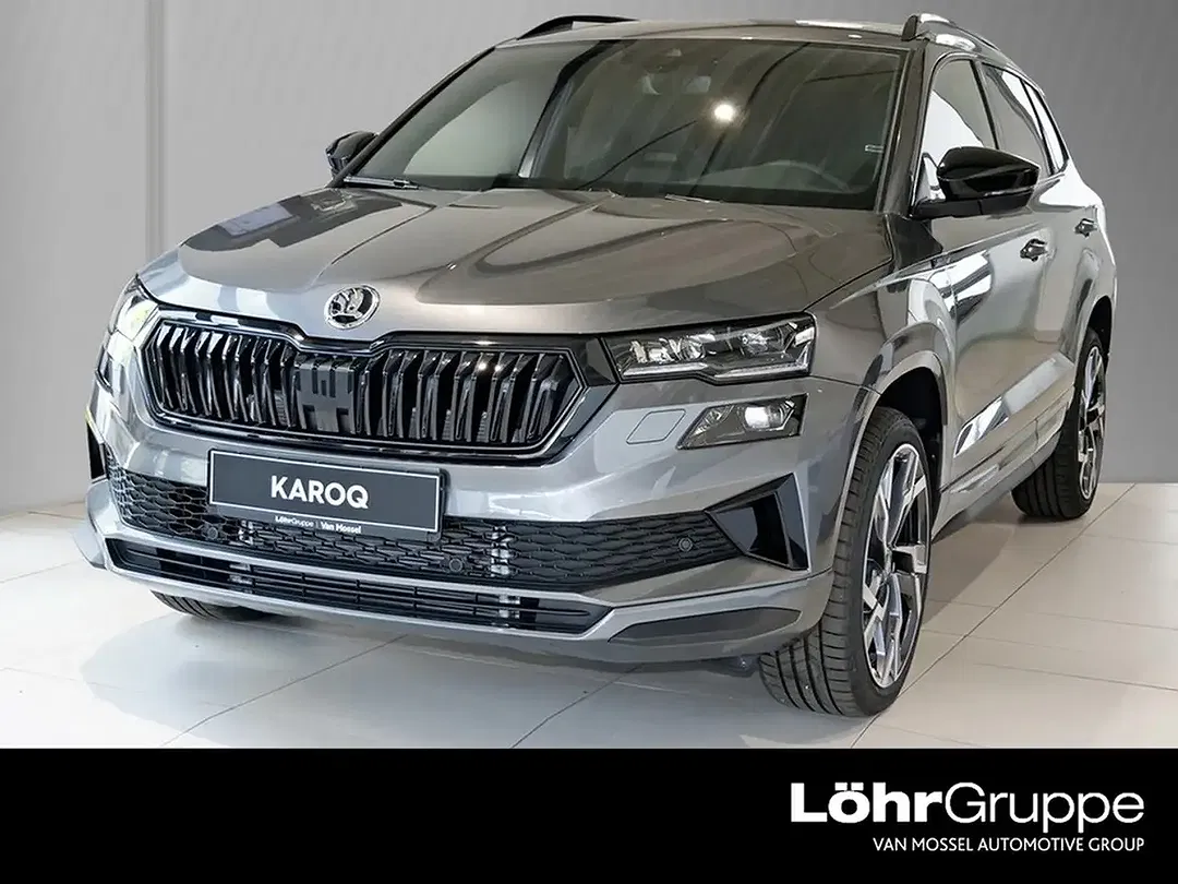 Skoda Karoq - Thumbnail 1