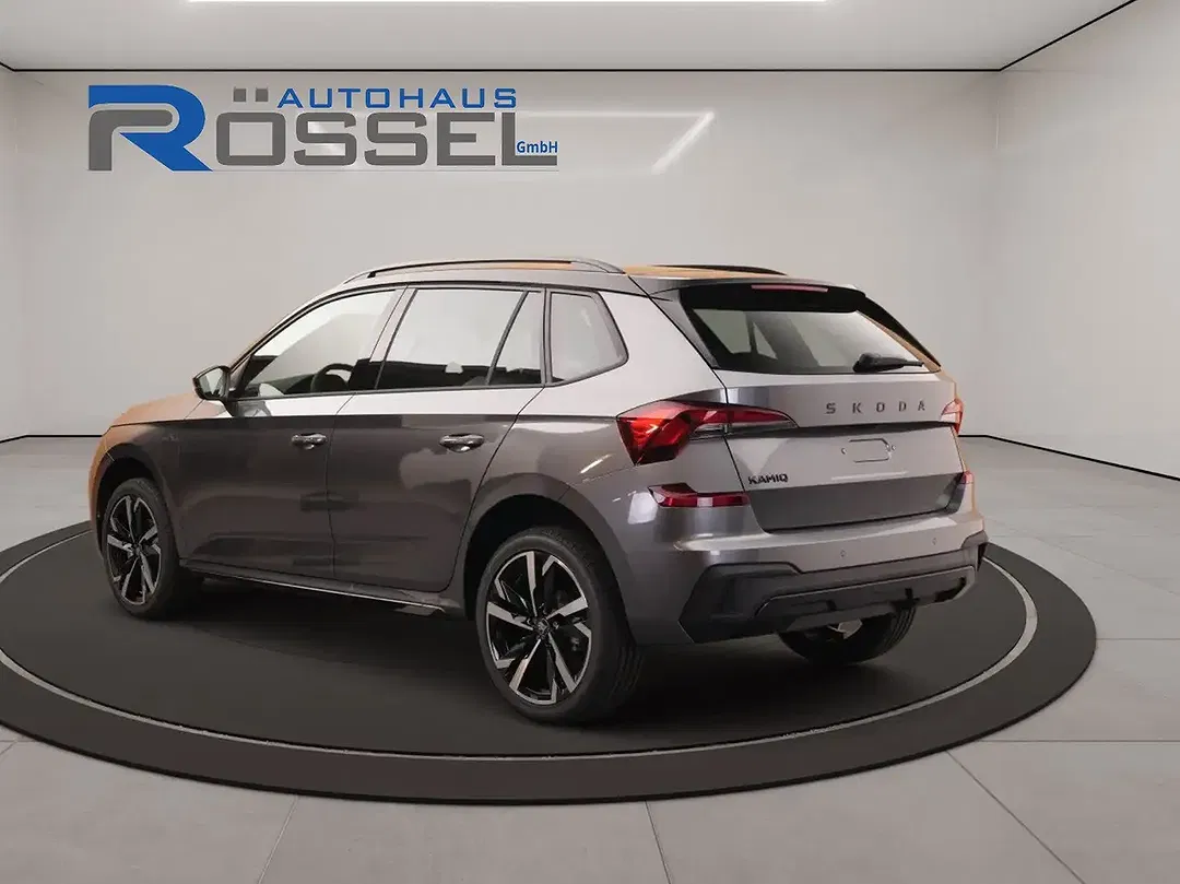 Skoda Kamiq - Thumbnail 3