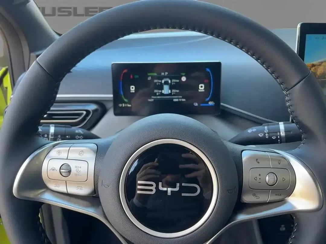 BYD Dolphin - Thumbnail 11