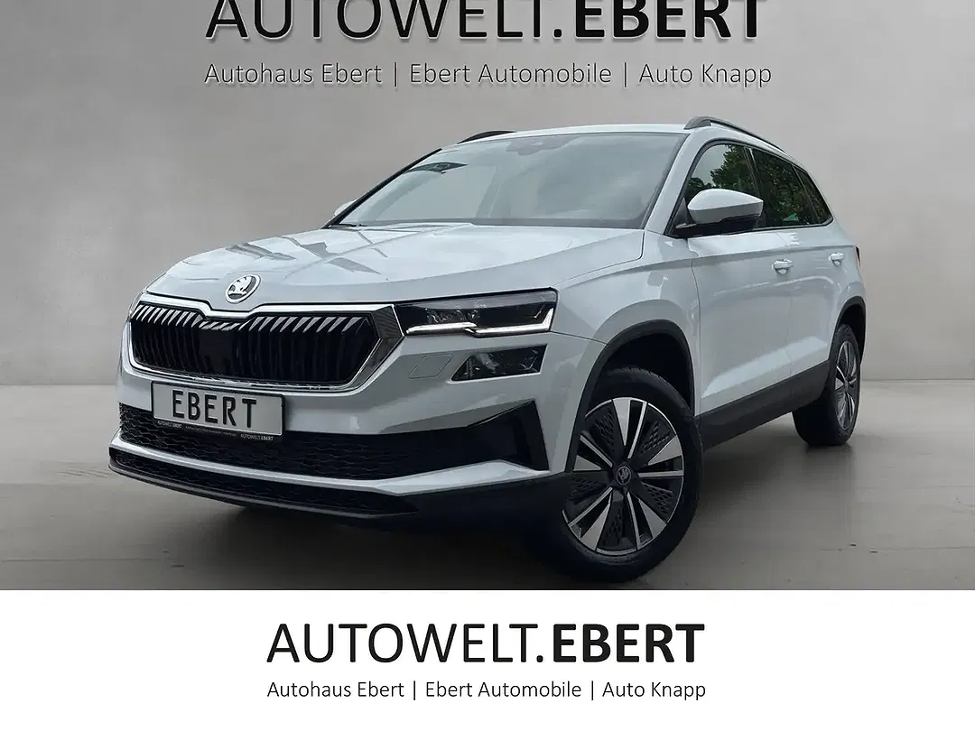 Skoda Karoq - Thumbnail 1