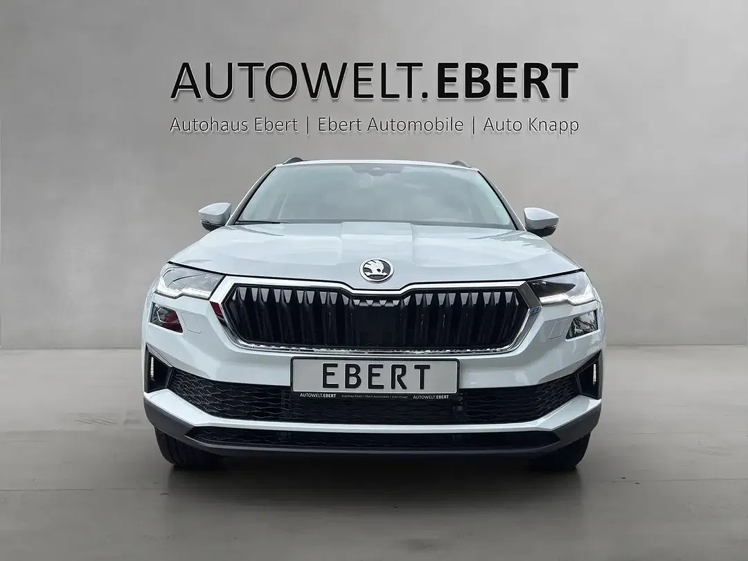 Skoda Karoq - Thumbnail 6