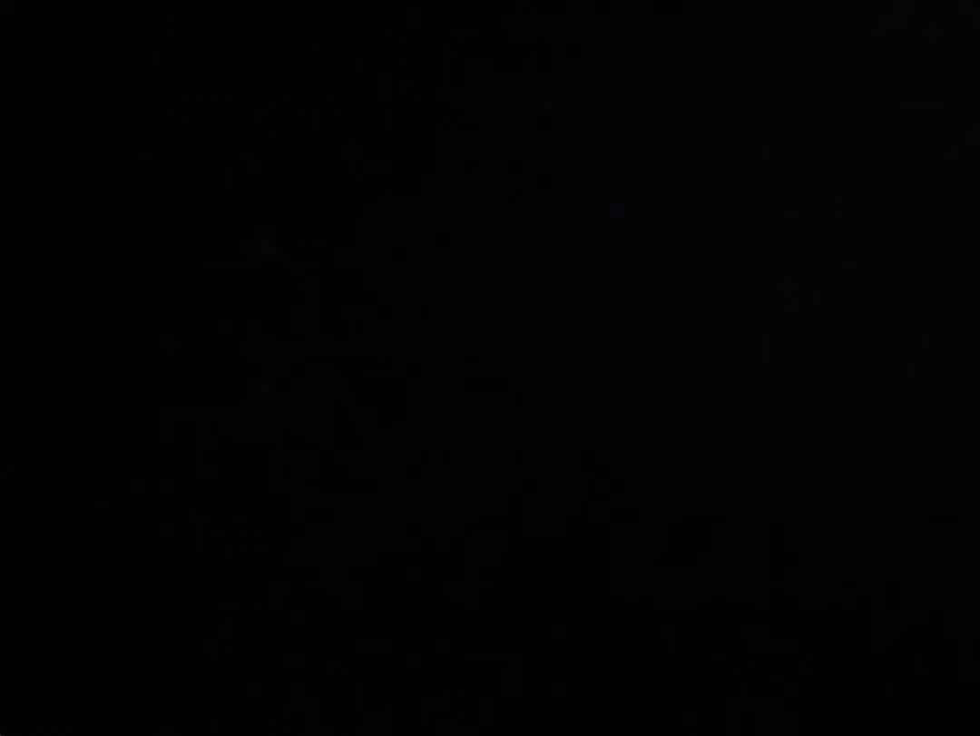 Alpine A110 - Thumbnail 10