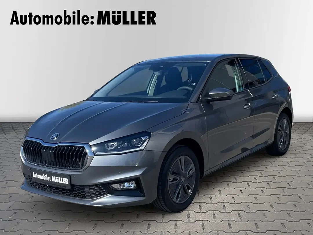 Skoda Fabia - Afbeelding 1