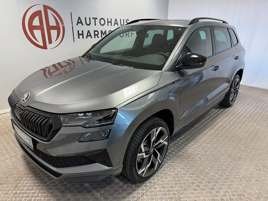 Skoda Karoq - Thumbnail 2