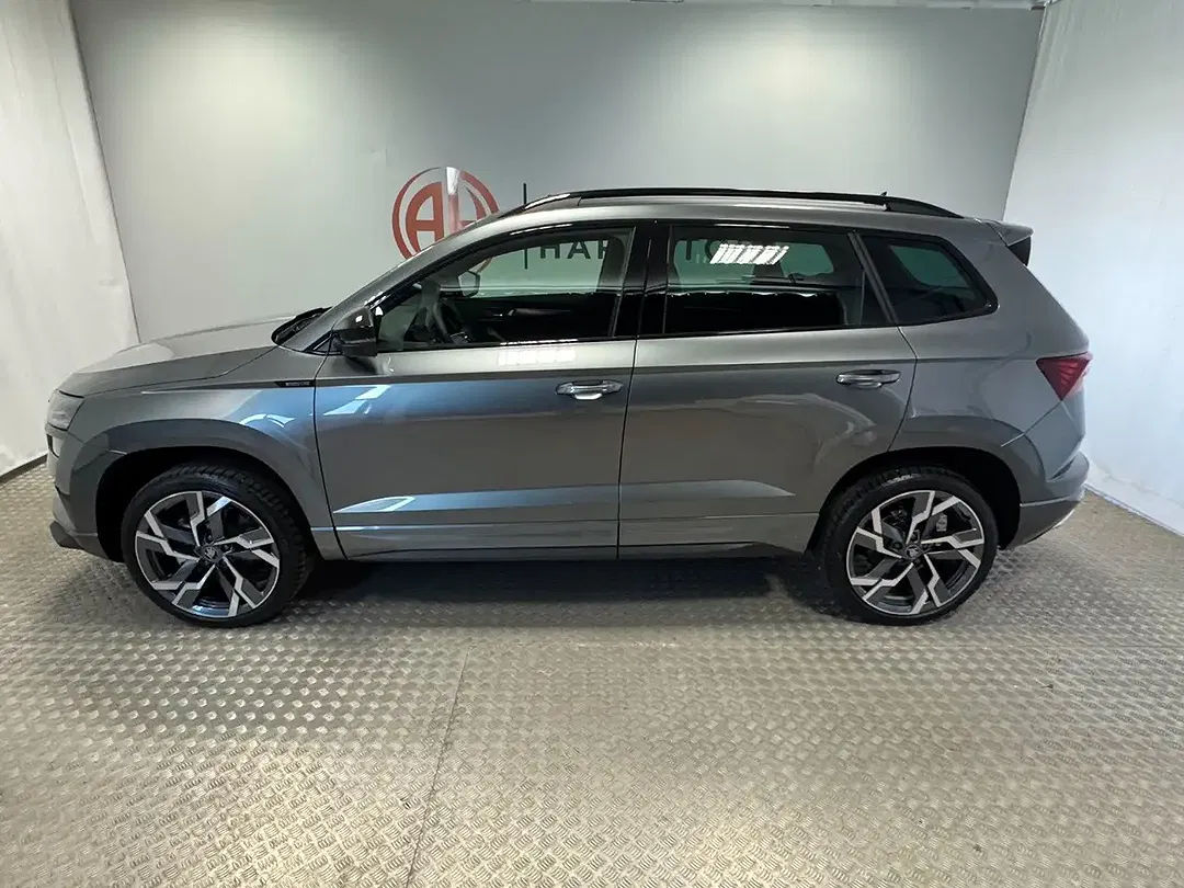 Skoda Karoq - Thumbnail 3