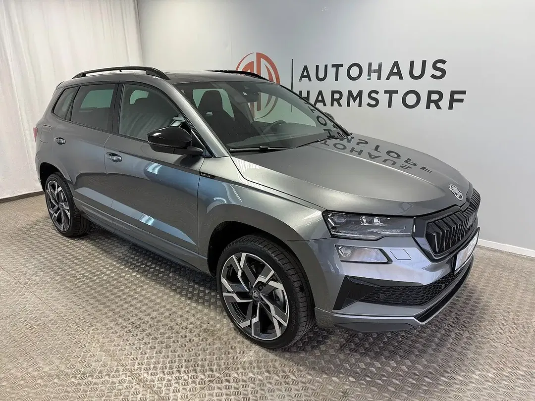 Skoda Karoq - Thumbnail 8
