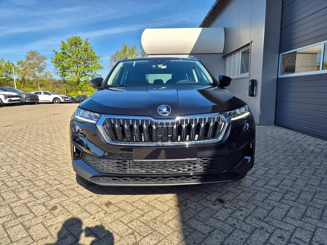 Skoda Karoq - Thumbnail 8