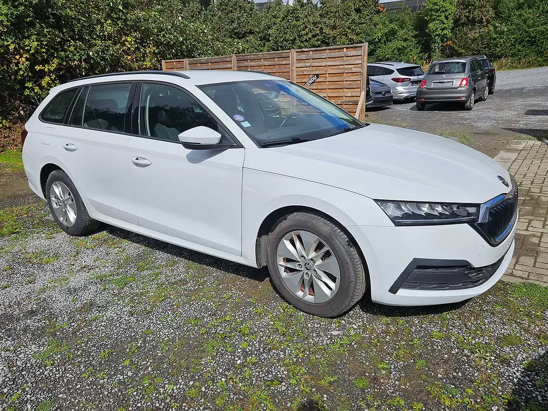 Skoda Octavia - Thumbnail 3