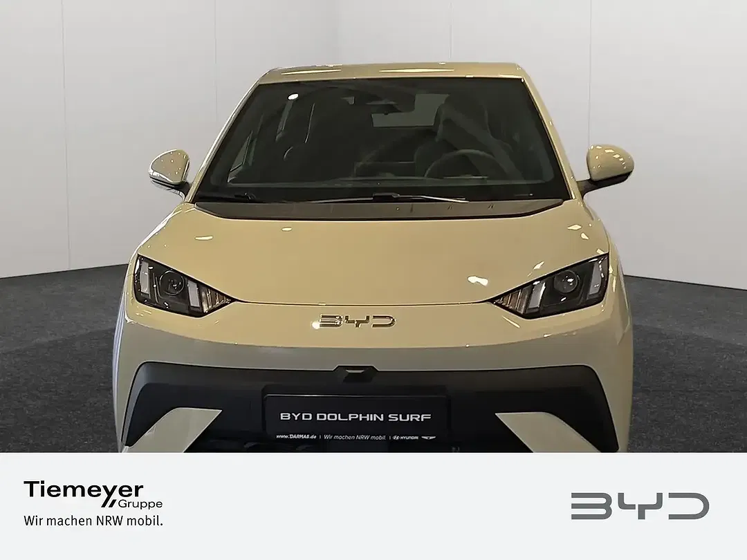 BYD Dolphin Surf - Thumbnail 2