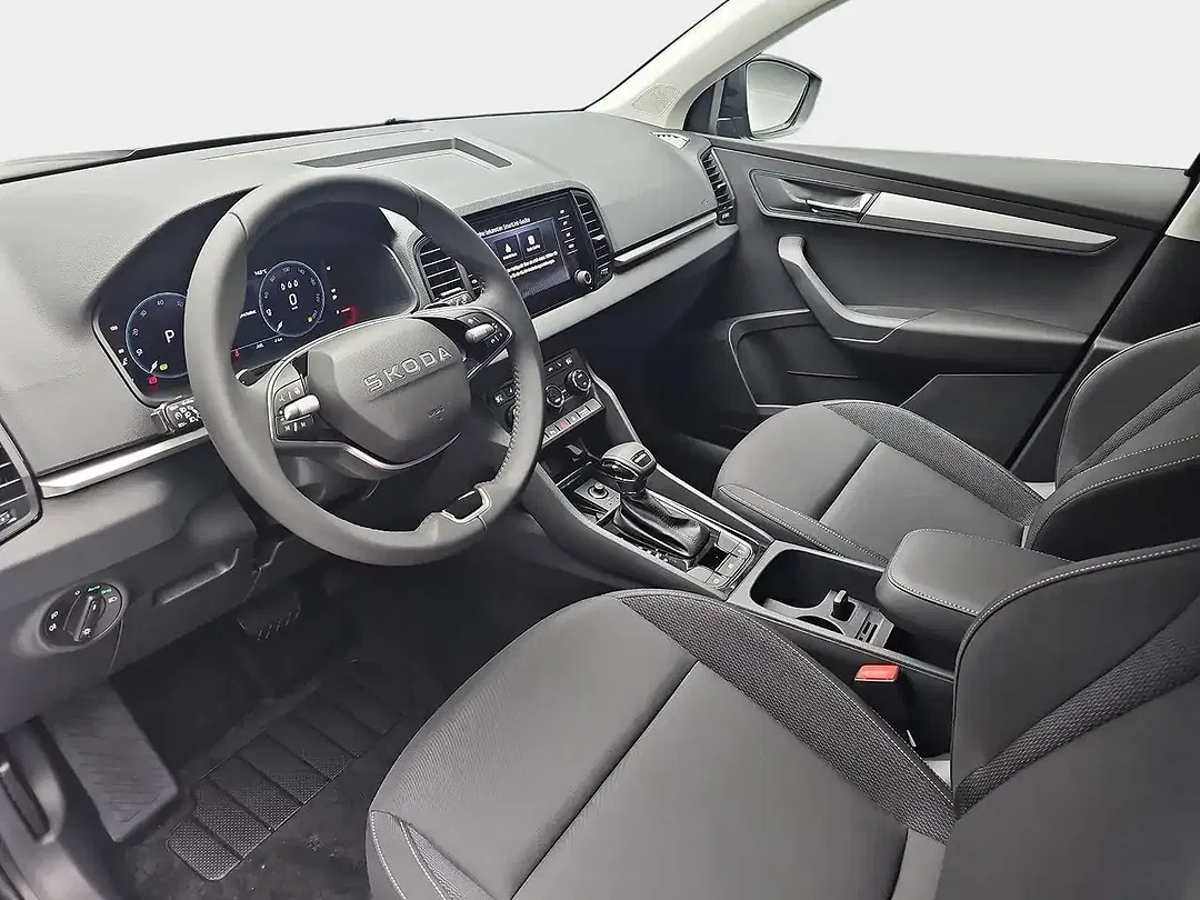 Skoda Karoq - Thumbnail 19