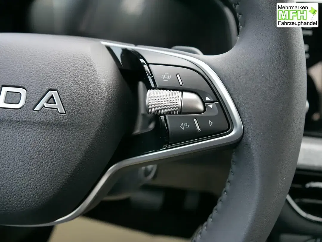 Skoda Kamiq - Thumbnail 12