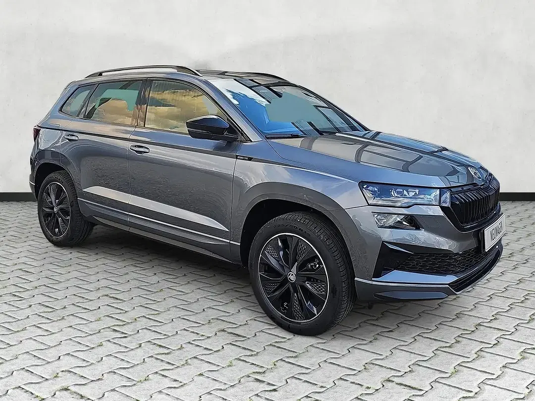 Skoda Karoq - Thumbnail 1