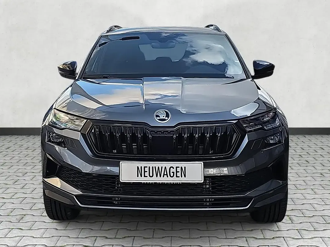 Skoda Karoq - Thumbnail 2