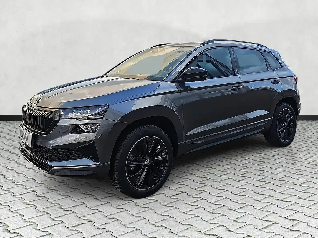Skoda Karoq - Thumbnail 3