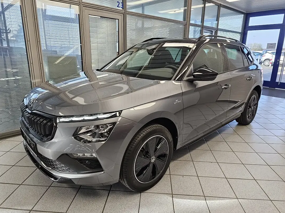 Skoda Kamiq - Thumbnail 2
