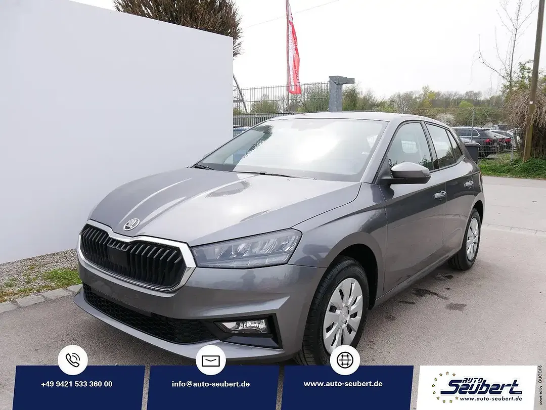 Skoda Fabia - Thumbnail 1