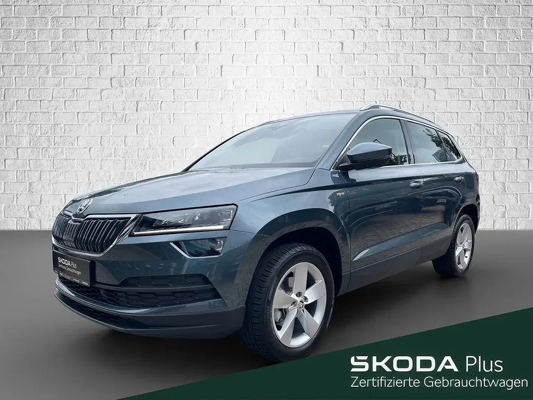 Skoda Karoq - Thumbnail 1