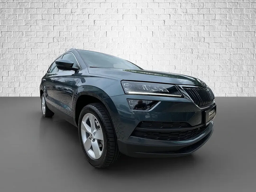 Skoda Karoq - Thumbnail 7