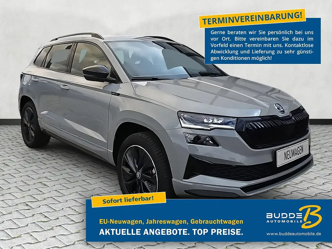 Skoda Karoq - Thumbnail 1