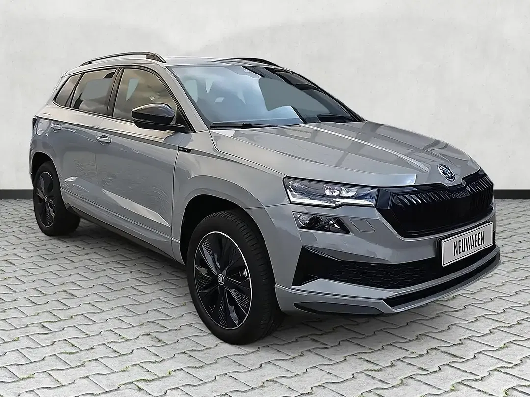 Skoda Karoq - Thumbnail 2