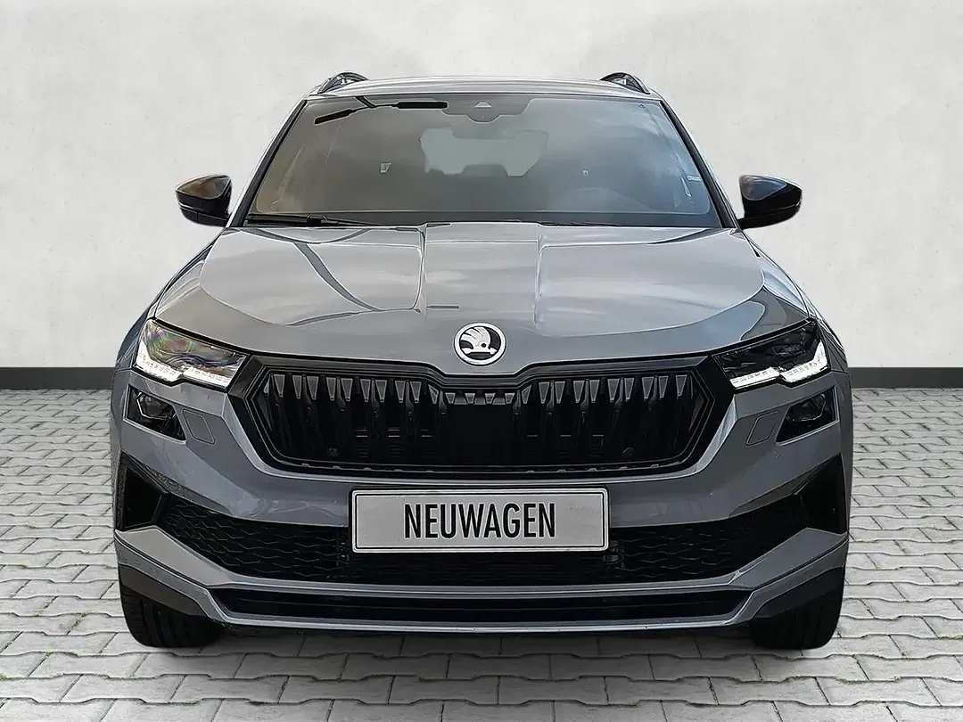 Skoda Karoq - Thumbnail 3