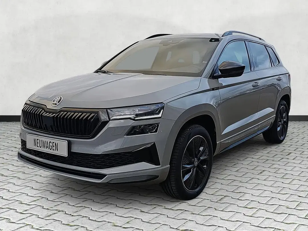 Skoda Karoq - Thumbnail 4